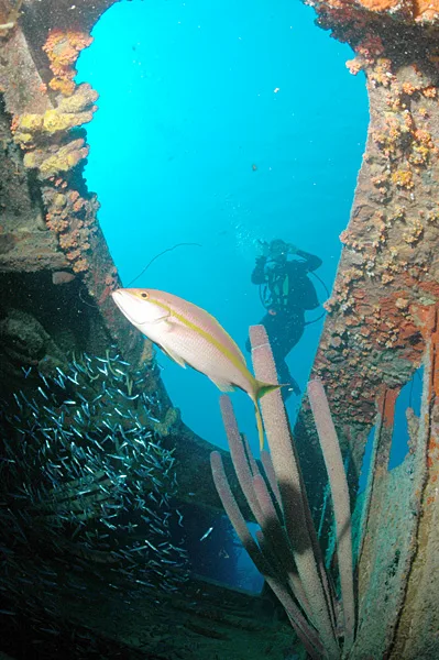 Diver on the wreck of the Hilma Hooker, Bonaire.